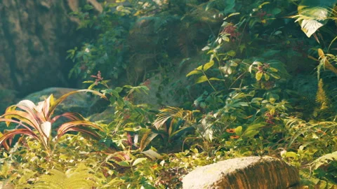 Lush greenery in a natural setting with various plants and stones Stock Footage 343557239