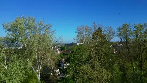 Lush greenery in Parc de Banjan, Le Mans, France. Aerial drone ascending Stockbeeldmateriaal 310732373