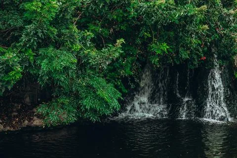 Lush greenery surrounding a tranquil waterfall in nature Stock Photos
