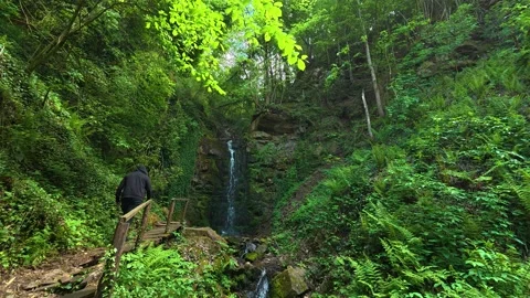 Lush greenery surrounds a gentle waterfall. Balkans, Serbia. Stock Footage 336893685