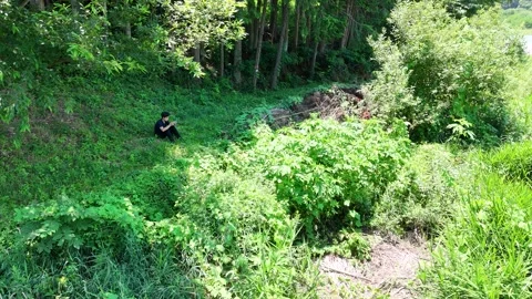 Lush greenery surrounds a lone figure Vidéo 339130307