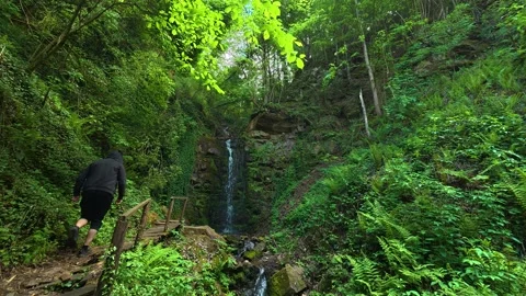 Lush greenery surrounds a small, flowing waterfall. Balkans, Serbia. Stock Footage 336893874