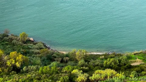Lush Greenery by the Tranquil Blue Tagus Coast Stock-Footage 258774402