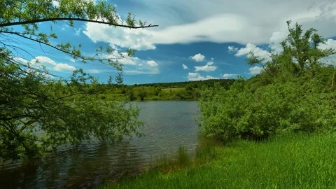 Lush greenery tree and calm lake behind. Vrmdza Lake, Serbia Stock Footage 338025019
