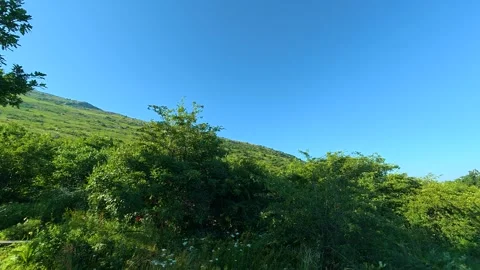 Lush greenery under clear blue sky. Mount Rtanj, Serbia Video stock 342315518