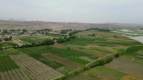 The Lush Greens of Khewa District Stock Footage 274530804