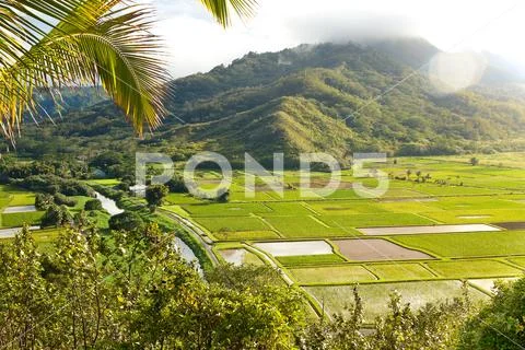 Lush Hanalei Valley on Hawaiian Island Kauai Stock Photos