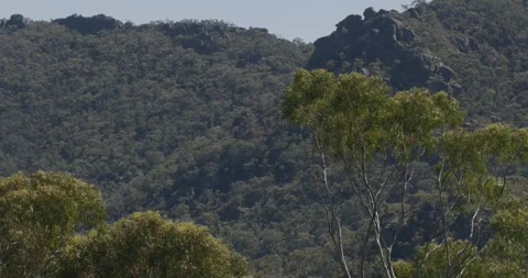 Lush Hills In Australia Stock Footage 331269133