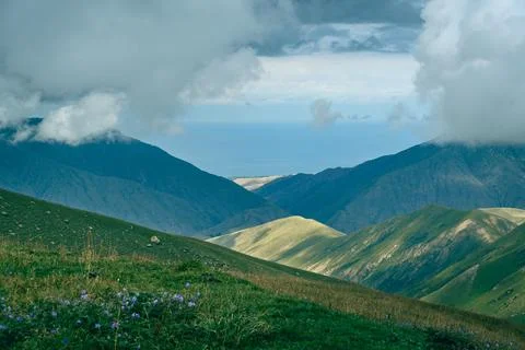 Lush hills roll beneath a soft, cloudy sky Stock Photos