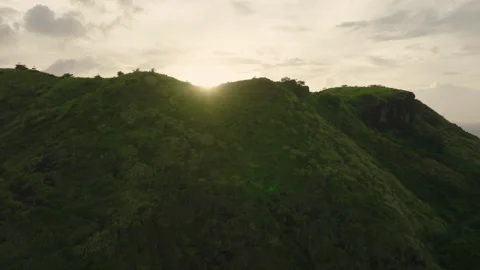 Lush Hillside With Low Clouds in Tropical Climate Stock Footage 313261355