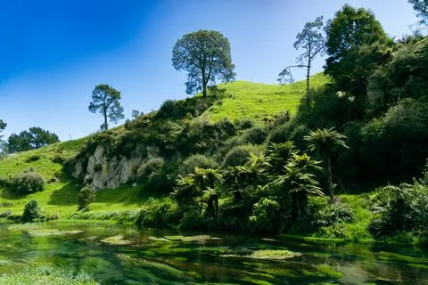 Lush Hillside Trees Reflected Clear River 스톡 사진