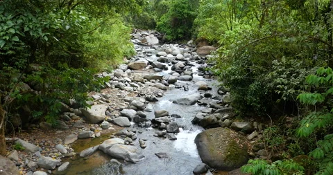 Lush Jungle Mountain River Cascading Waters Through Rocks In The Rainforest Video stock 137620264