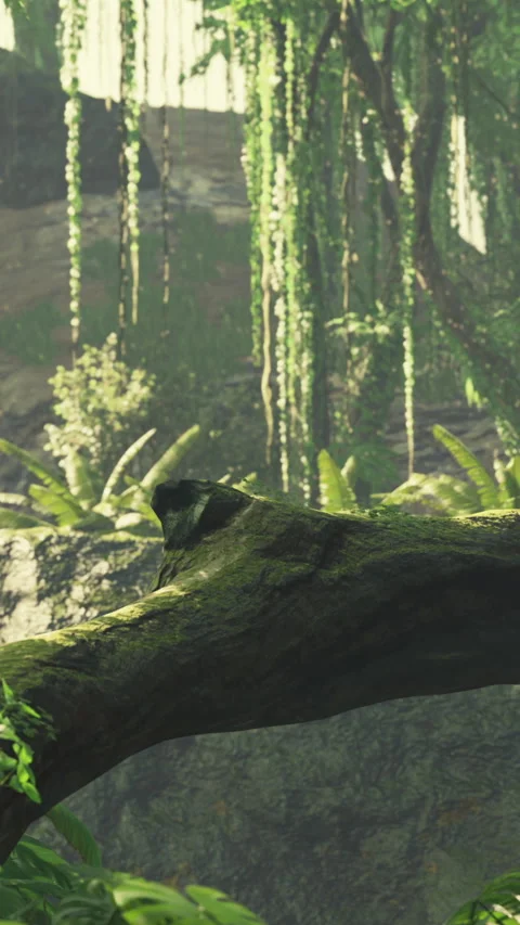 Lush jungle scene with sunlight filtering through trees and greenery Video stock 337959480