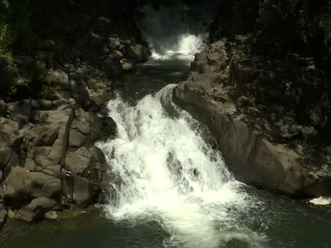 Lush Jungle Stream Stock Footage 22243112