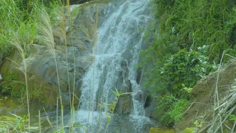 Lush Jungle Waterfall Cascading Over Rocky Terrain Stock Footage 280527624