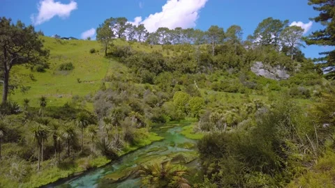 Lush landscape of Blue Spring Putaruru Vidéo 228106523