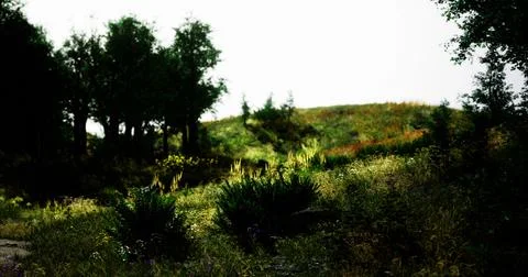 Lush landscape with greenery under soft lighting during daytime hours Stock Illustration