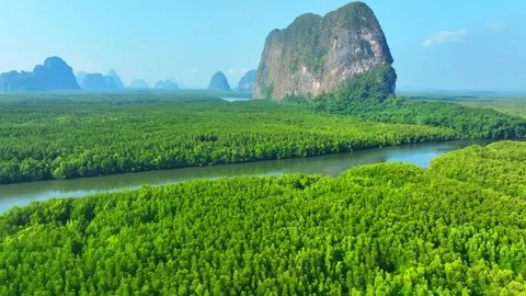 A lush mangrove river surrounded by limestone cliffs. Stock Footage 338054037