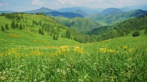 Lush meadows stretch toward distant peaks Stock-Footage 334123808