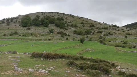 Lush Mediterranean Highland Video stock 334345119
