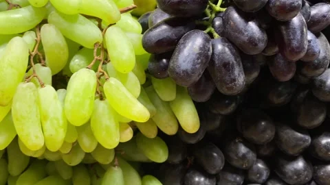 Lush Mixed Grape Clusters Filling a Tight Market Style Close Up Stock Footage 345950663