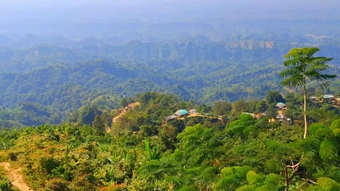 Lush Mountain Landscape View Stock Footage 330467525