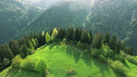 Lush mountain meadow, drone forest landscape, peaceful nature valley Stock-Footage 311490122