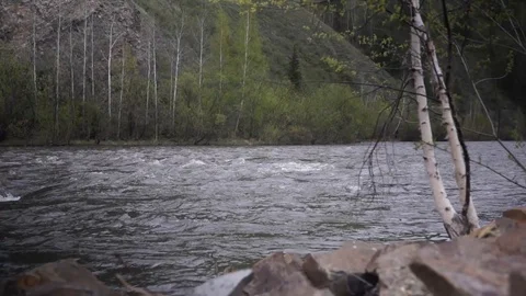Lush mountain river Vídeos de archivo 104410417