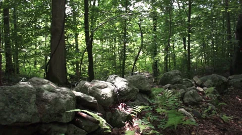 Lush mountain trail (1 of 7) Stock Footage 32716541