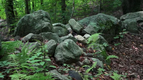 Lush mountain trail (4 of 7) Stock Footage 32716551