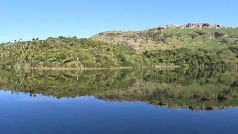 Lush Nikau Forest Reflection at Kaikoha Lakes in New Zealand's Tasman Distr.. Stock Footage 286764956