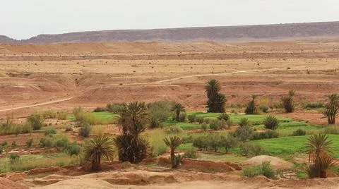 A lush oasis of green fields and palm trees spreads across a dry desert valley Stock Photos