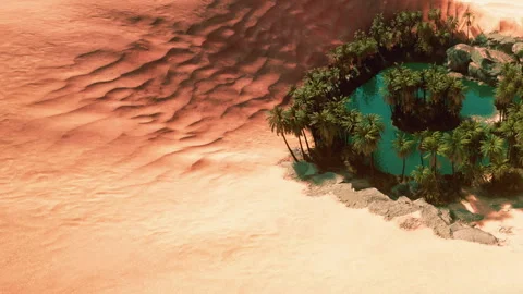 Lush oasis in the middle of vast desert landscape during bright daylight 스톡 동영상 345014276