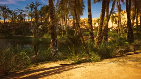 Lush oasis with palm trees beside calm water during a sunny day Stock Footage 331423995