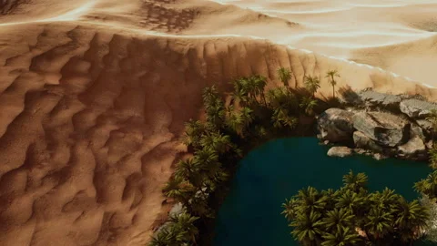 Lush oasis surrounded by vast sandy dunes in a desert landscape 스톡 동영상 345014199