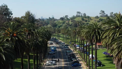 Lush palm tree lined street with cars and downtown LA skyline in sunny day Stock Footage 273836341
