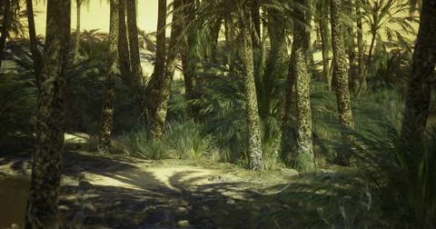 Lush palm tree pathway in a tranquil desert landscape during golden hour Illustrazione stock