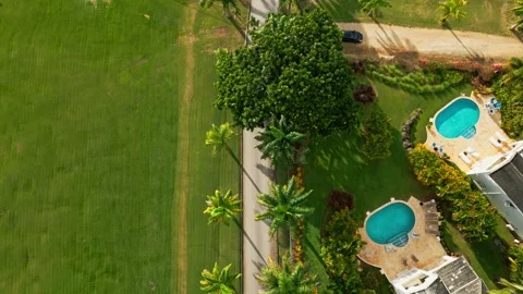 Lush Palm Trees 4K drone | bird's eye view revealing the ocean Stock Footage 251752794