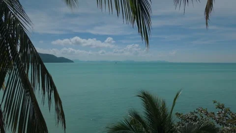 Lush palm trees frame a stunning view of a tranquil turquoise ocean, with Stock Footage 312743390