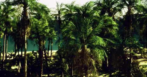 Lush palm trees line the tranquil beach under a clear blue sky Stock Illustration