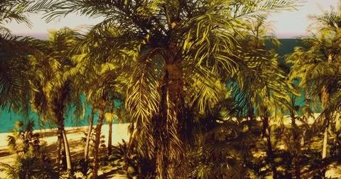 Lush palm trees overlook tranquil beach and ocean under clear sky Stock Illustration