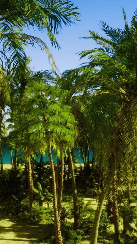 Lush palm trees by the shoreline with clear blue water in the background Stock Footage 331679723