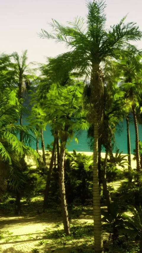 Lush palm trees surround a beach with water in the background Stock Footage 331688001