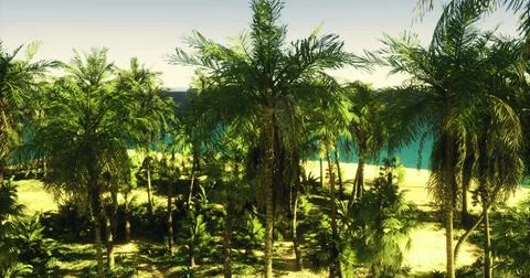 Lush palm trees surrounding a tranquil beach during daylight hours Ilustración de archivo