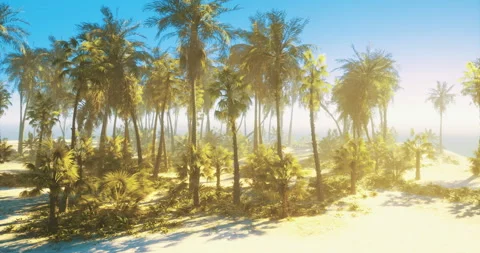 Lush palm trees sway gently in a tropical beach paradise at sunrise Video stock 323936769