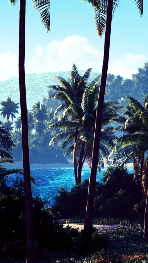 Lush palm trees sway gently by the sparkling blue ocean in a tropical paradise Video stock 340078411
