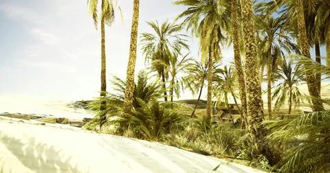 Lush palm trees thrive under bright sunlight in a serene desert landscape Stock Illustration