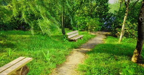Lush park pathway with benches inviting relaxation on a sunny day Ilustração Stock