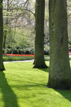 Lush park Stock Photos