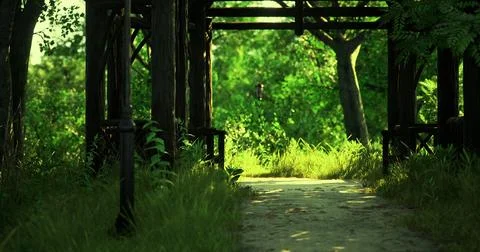Lush pathway through a green forest with wooden framework in daylight Stock Illustration
